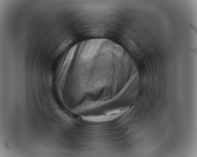 X0000097830120200804041430