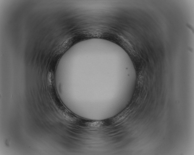 X0000097830122200804041430