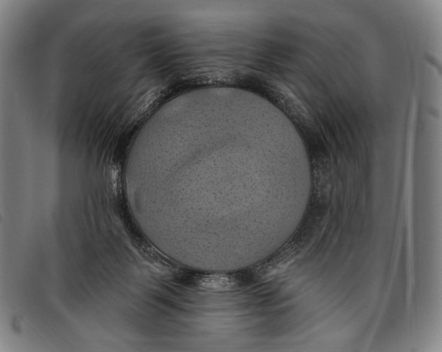 X0000097830123200804041430