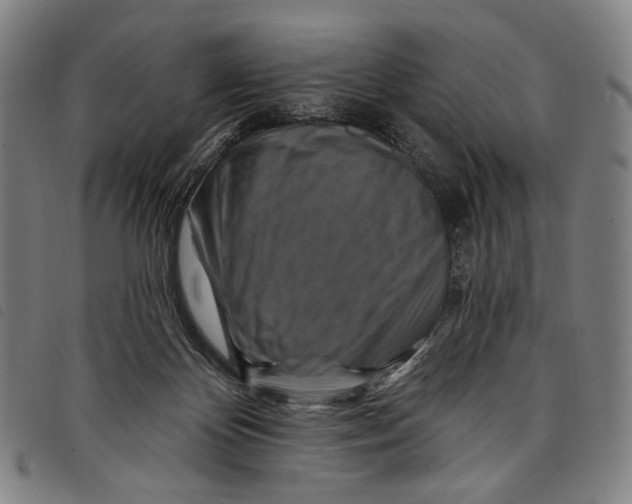 X0000097830124200804041430