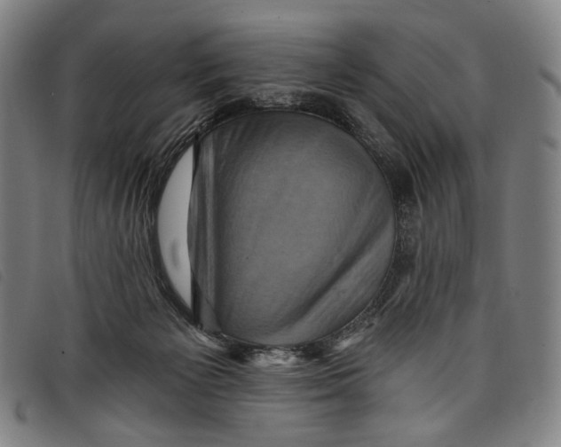 X0000097830125200804041430