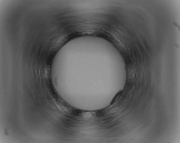 X0000097830126200804041430