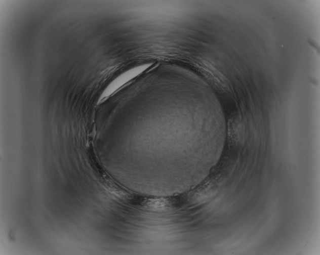 X0000097830127200804041429