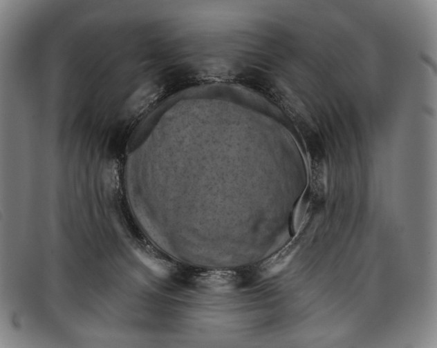 X0000097830128200804041429