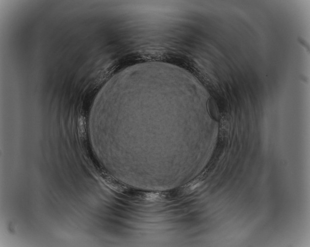 X0000097830130200804041429