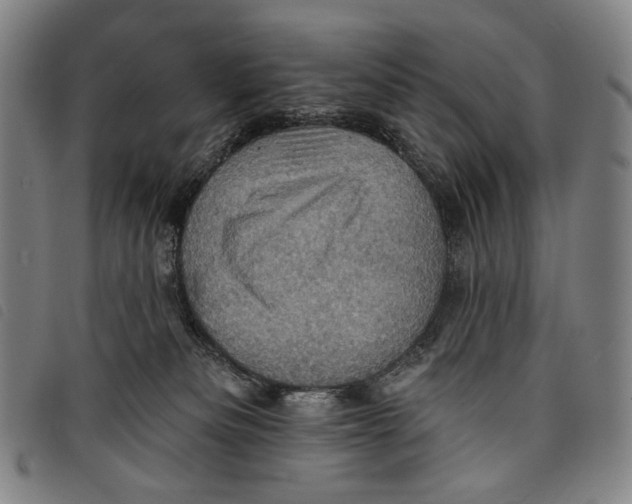 X0000097830133200804041429