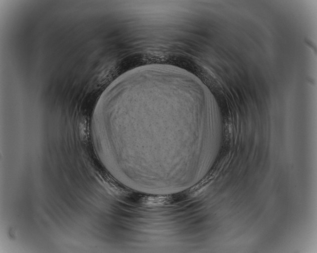 X0000097830134200804041429