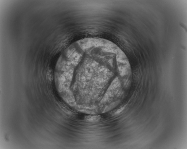 X0000097830135200804041429