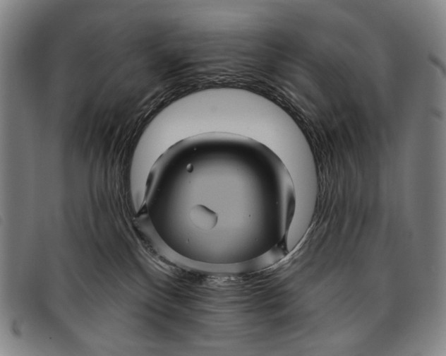 X0000097830136200804041429