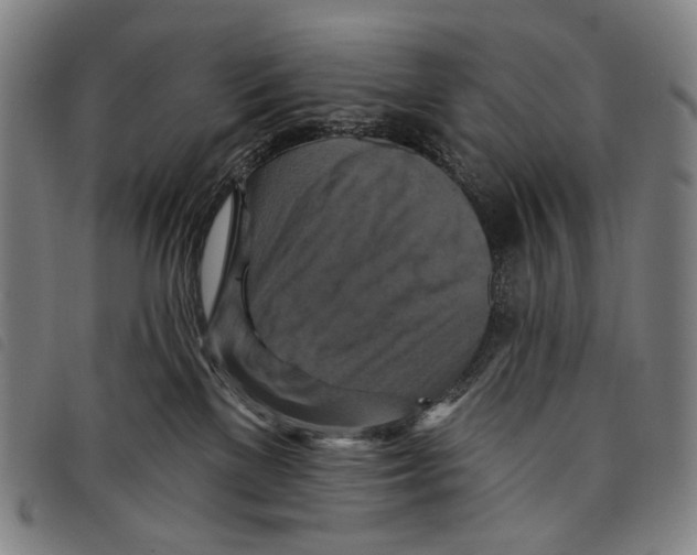 X0000097830137200804041429