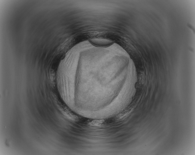 X0000097830138200804041429