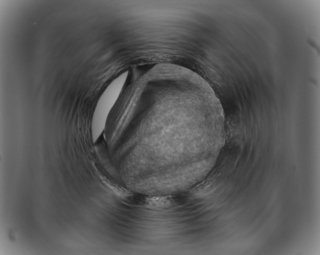 X0000097830141200804041429