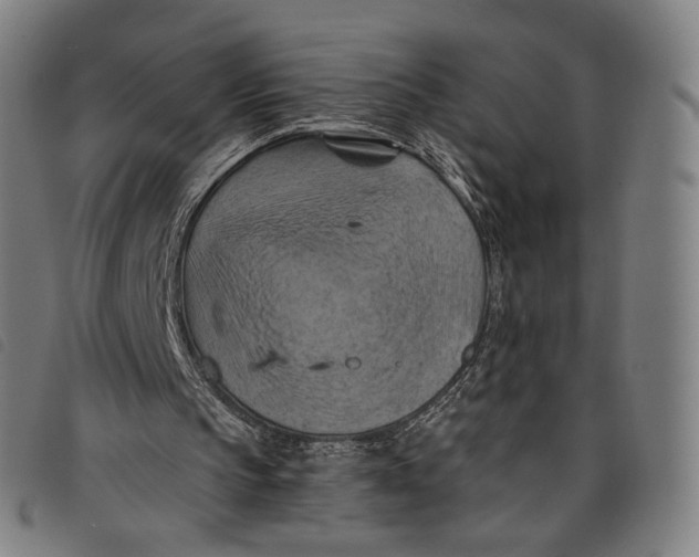 X0000097830145200804041428