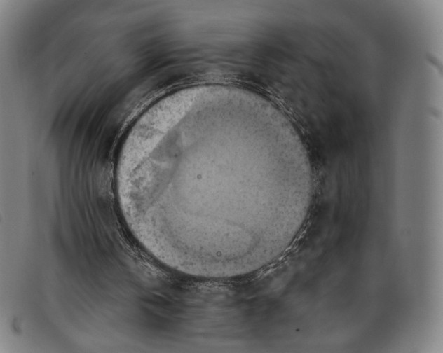 X0000097830146200804041428