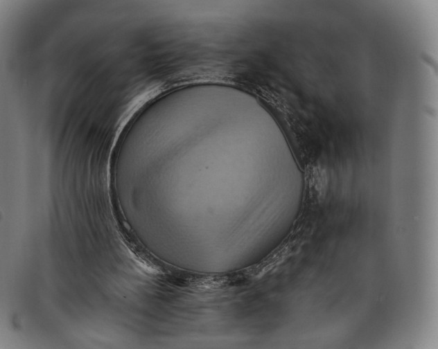 X0000097830148200804041428