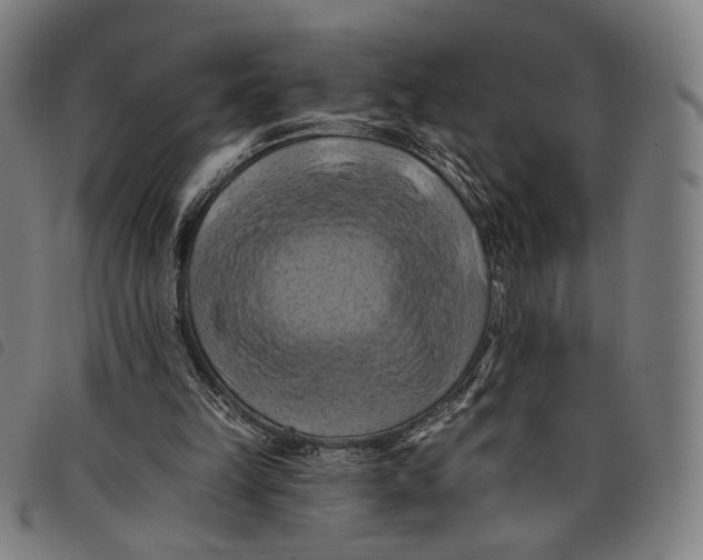 X0000097830149200804041428