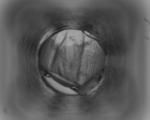 X0000097830150200804041428