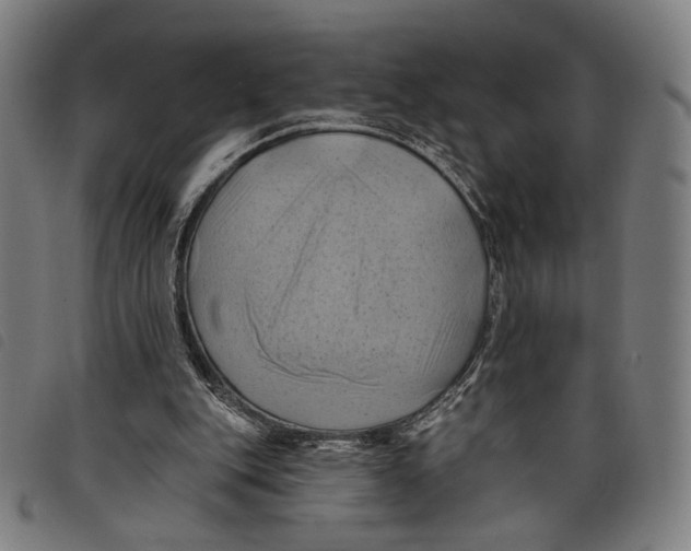 X0000097830151200804041429