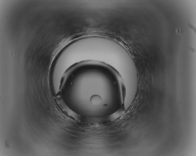 X0000097830152200804041429