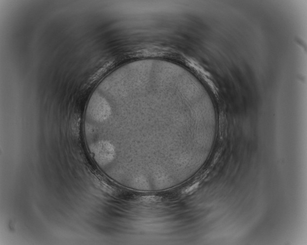 X0000097830153200804041429