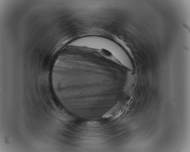 X0000097830154200804041429