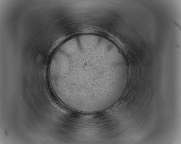 X0000097830155200804041429