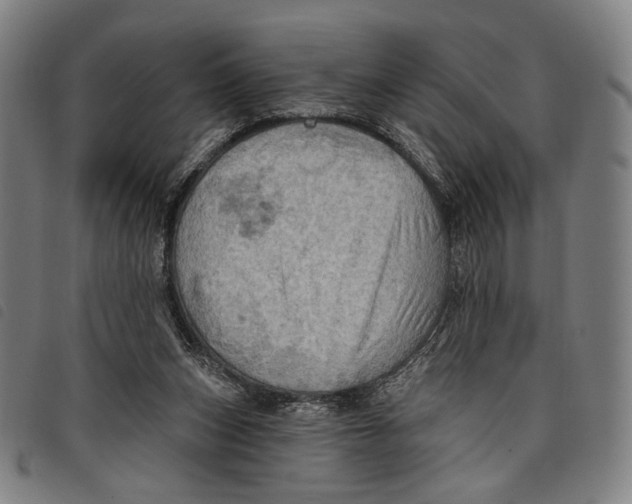 X0000097830159200804041429