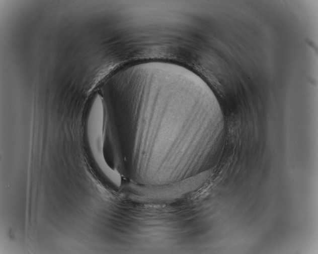 X0000097830160200804041429