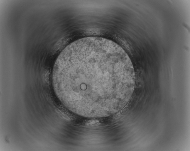 X0000097830162200804041429