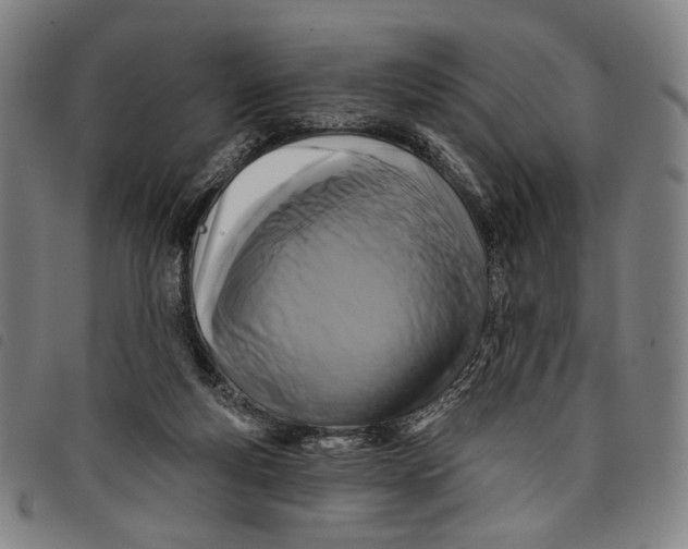 X0000097830163200804041429