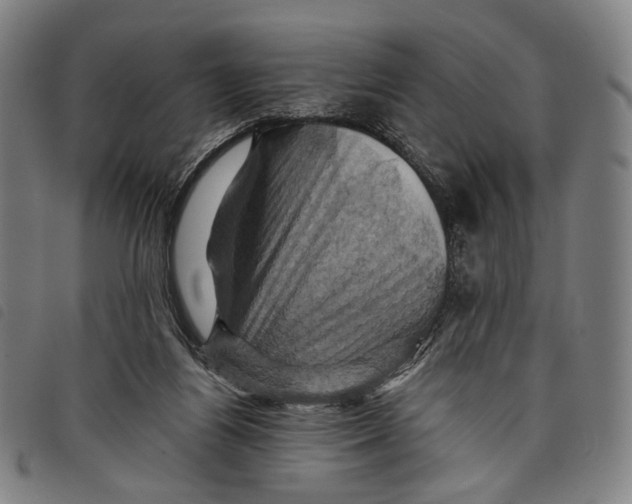 X0000097830164200804041429