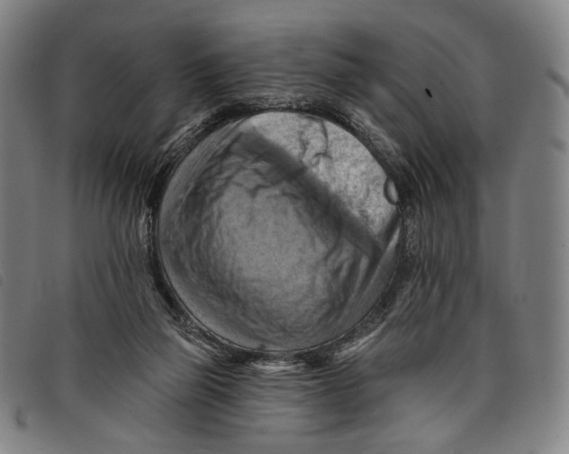 X0000097830165200804041429