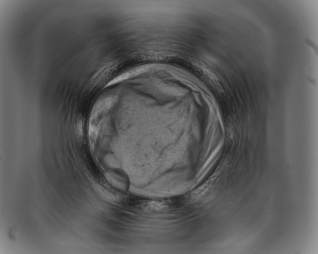 X0000097830166200804041429