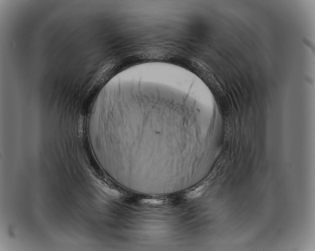 X0000097830167200804041429