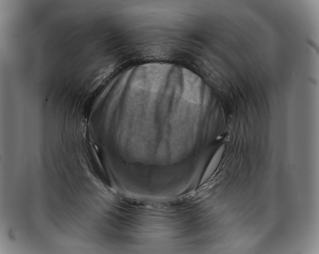 X0000097830168200804041429