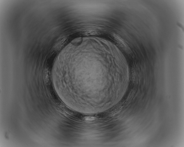 X0000097830169200804041429