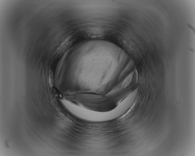 X0000097830170200804041429