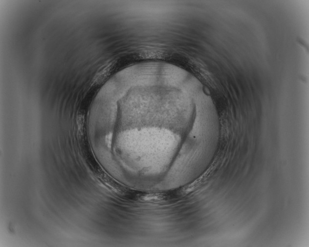 X0000097830171200804041429