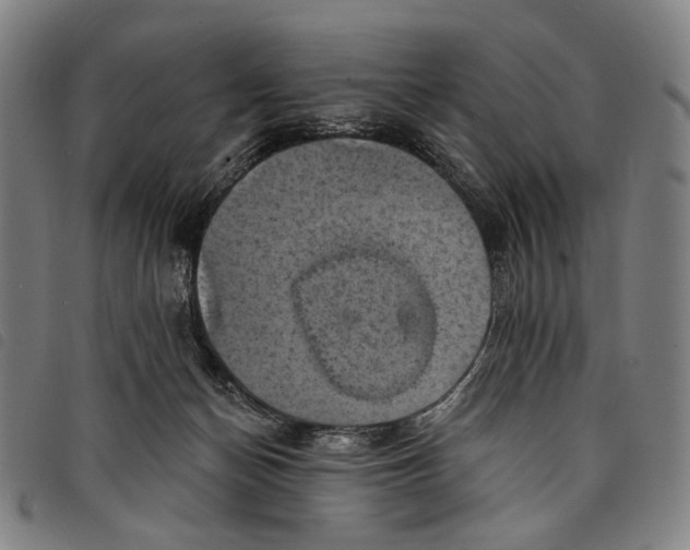 X0000097830174200804041429