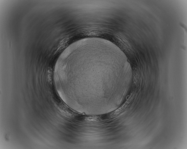 X0000097830175200804041429