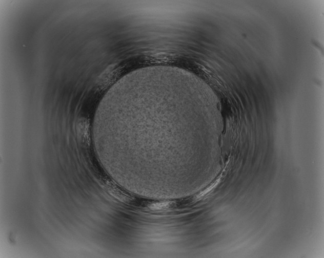 X0000097830178200804041429