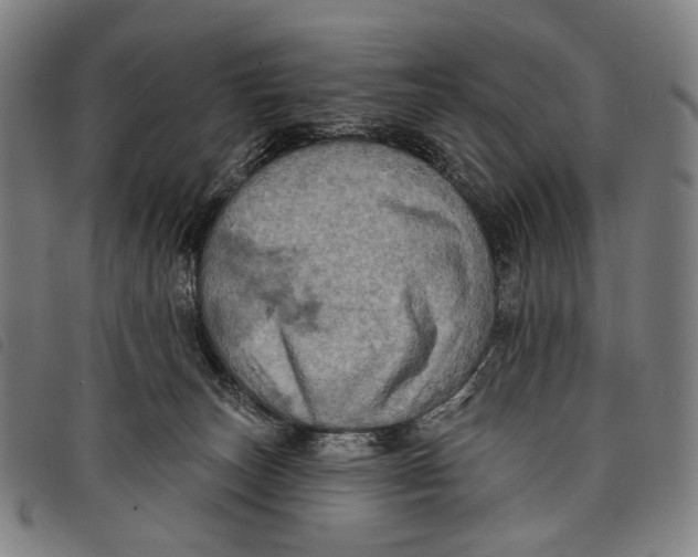 X0000097830179200804041429