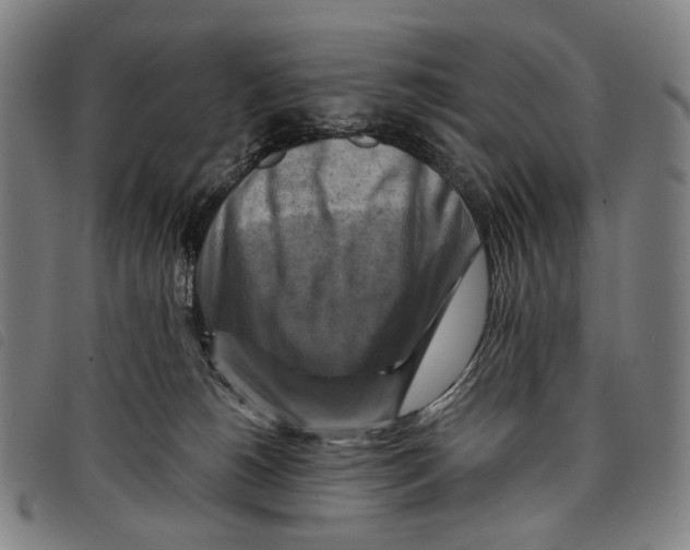 X0000097830180200804041429