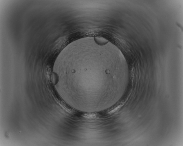 X0000097830181200804041429