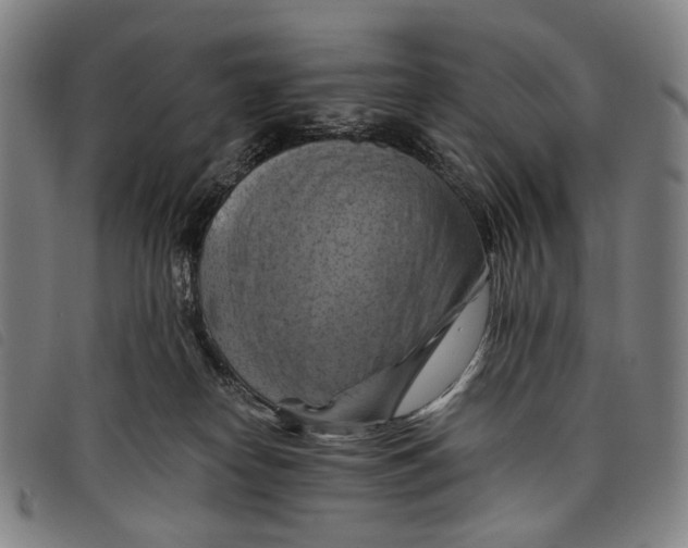 X0000097830182200804041429