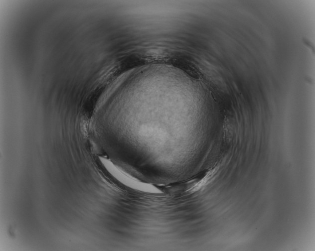 X0000097830188200804041429