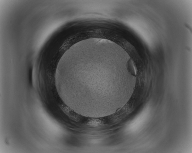 X0000097830189200804041429