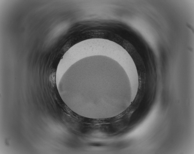 X0000097830190200804041429