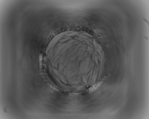 X0000097830192200804041429