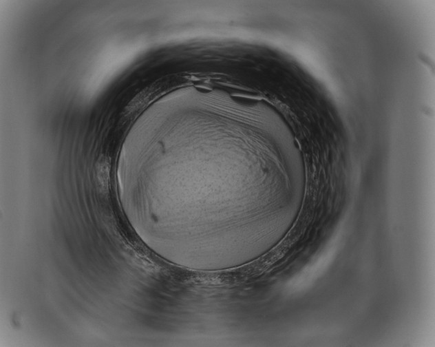 X0000097830194200804041428